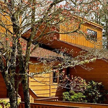Fairway Forest Resort Sapphire Zewnętrze zdjęcie